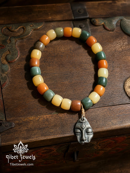 The "Inward Gaze" Multicolor Bodhi Root Bracelet | Tibetan Silver Buddha Amulet